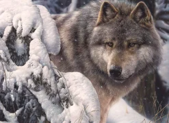 Cobble Hill Maître du Nord* Loups|Neige