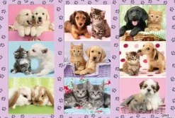Schmidt Spiele Mes Amis les Animaux*Enfant Chiens|Chats