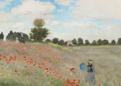 Bluebird Puzzle Monet Claude - Claude Monet - Poppy Field, 1873* Art|De 1 000 Pièces