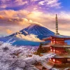 Enjoy Puzzle Mont Fuji au Printemps, Japon* Japon|Montagnes