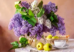 Castorland Nature Morte Lilas* Forêts, Fleurs Et Jardins|De 500 À 999 Pièces