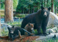 Eurographics New Discoveries* Animaux Sauvages|Animaux De La Forêt