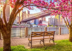 Roovi New York, États-Unis* États-Unis Et Canada|Forêts, Fleurs Et Jardins