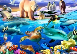 Bluebird Puzzle Oceans of Life* Animaux Marins|Fonds Marins