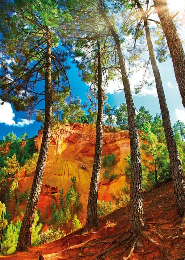 Nathan Ocres de Roussillon* Forêts, Fleurs Et Jardins|De 1 000 Pièces