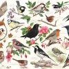 HOP - House of Puzzles Oiseaux Dans Mon Jardin* Oiseaux
