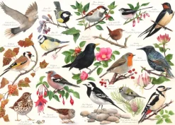 HOP - House of Puzzles Oiseaux Dans Mon Jardin* Oiseaux