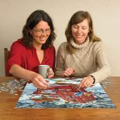 Cobble Hill Oiseaux des Adirondacks* Oiseaux|Neige