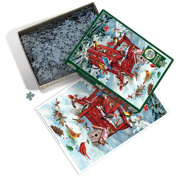 Cobble Hill Oiseaux des Adirondacks* Oiseaux|Neige