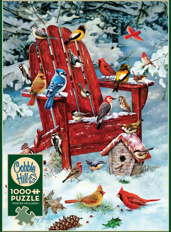 Cobble Hill Oiseaux des Adirondacks* Oiseaux|Neige