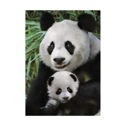 Dino Panda* Animaux Sauvages|Animaux De La Forêt