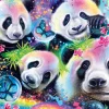 Schmidt Spiele Pandas Fluo* Animaux Fantastiques|Autres Animaux