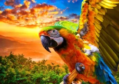 Bluebird Puzzle Parrot* Oiseaux|De 1 000 Pièces