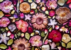 Enjoy Puzzle Pensez Rose* Forêts, Fleurs Et Jardins