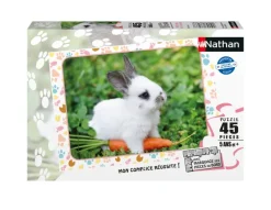 Nathan Petit Lapin et sa Carotte*Enfant Animaux De La Ferme|Déco Culinaire