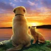 SunsOut Pièces XXL - As the Sun Sets*Enfant Chiens|Chats