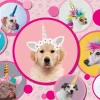 Ravensburger Pièces XXL - Chiens Licornes*Femme/Enfant Licornes|Chiens