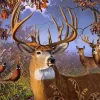 Cobble Hill Pièces XXL - Deer and Pheasant* Pièces Xxl Adultes|Oiseaux