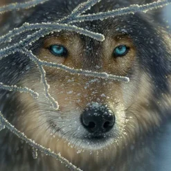 SunsOut Pièces XXL - Fire Within Ice*Enfant Loups|Carré