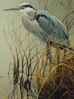 Cobble Hill Pièces XXL - Great Blue Heron* Pièces Xxl Adultes|Oiseaux