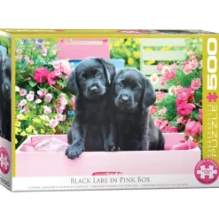 Eurographics Pièces XXL - Labradors Noirs dans une Boîte Rose*Enfant Chiens|De 500 À 999 Pièces