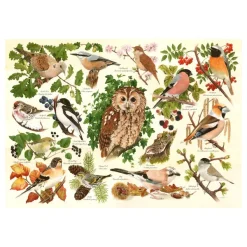 HOP - House of Puzzles Pièces XXL - Oiseaux Des Bois*Enfant Oiseaux|Collages