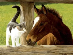 SunsOut Pièces XXL - Whiskery Hello*Enfant Chevaux|Chats