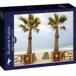 Bluebird Puzzle Plage de Lacanau, France* Mers Et Océans|Plages Et Îles De Rêve