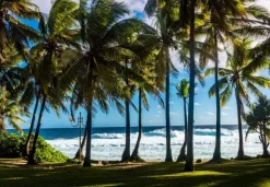 Bluebird Puzzle Plage et Palmiers, La Réunion, France* Plages Et Îles De Rêve|De 1 000 Pièces