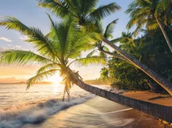 Ravensburger Plage Secrète* De 1 500 Pièces|De 1 500 Pièces