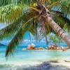 Alipson Puzzle Plage Tropicale*Femme Zen Et Bien Être|Plages Et Îles De Rêve