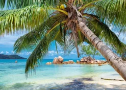 Alipson Puzzle Plage Tropicale*Femme Zen Et Bien Être|Plages Et Îles De Rêve