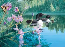 Cobble Hill Plongeons dans la Baie de Lis*Enfant Oiseaux|Forêts, Fleurs Et Jardins