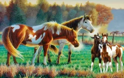 SunsOut Pâturage en Famille* Chevaux|Animaux De La Ferme