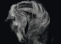 Schmidt Spiele Puissant – Le Cheval : Sous le Signe de la Force* Chevaux|De 1 000 Pièces