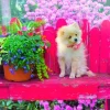 Bluebird Puzzle Puppy in the Colorful Garden* Chiens|Forêts, Fleurs Et Jardins