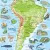 Larsen Puzzle Cadre - Amérique du Sud (en Russe)*Enfant Cadre|Puzzles Pour Enfants