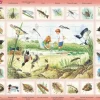 Larsen Puzzle Cadre - Animaux du Lac (en Italien)*Enfant Cadre|Puzzles Pour Enfants