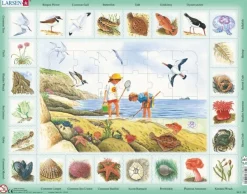 Larsen Puzzle Cadre - Apprendre l'Anglais : Au Bord de Mer (en Anglais)*Enfant Cadre|Puzzles Pour Enfants