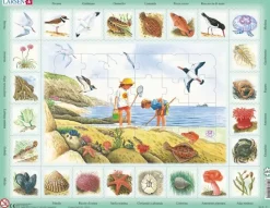 Larsen Puzzle Cadre - Bord de mer (en italien)*Enfant Cadre|Puzzles Pour Enfants