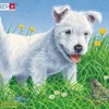 Larsen Puzzle Cadre - Chiot*Enfant Cadre|À Partir De 2 Ans