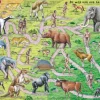 Larsen Puzzle Cadre - De Weg van Aab naar Mens (en Hollandais)*Enfant Cadre|Puzzles Pour Enfants