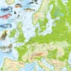 Larsen Puzzle Cadre - Europe (en Anglais)*Enfant Cadre|Puzzles Pour Enfants