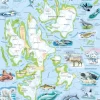 Larsen Puzzle Cadre - Norvège : Le Svalbard et ses Animaux (Noms des animaux en Norvégien)*Enfant Cadre|Puzzles Pour Enfants