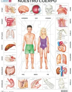 Larsen Puzzle Cadre - Nuestro Cuerpo (en Espagnol)*Enfant Cadre|Puzzles Pour Enfants