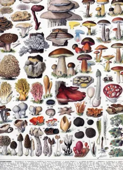 Puzzle Michèle Wilson Puzzle en Bois Découpé à la Main - Les Champignons*Enfant Puzzles Enfants|À Partir De 9 Ans