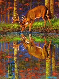 SunsOut Qu'est-ce Qui se Cache en Dessous ?* Animaux De La Forêt|Forêts, Fleurs Et Jardins