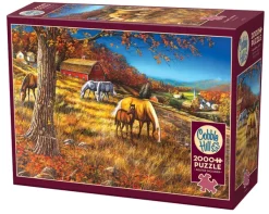 Cobble Hill Rassemblement à Hillside* De 2 000 Pièces|De 2 000 Pièces