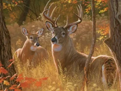 Cobble Hill Rendezvous Secret*Enfant Animaux De La Forêt|Dès 9 Ans : 251 À 399 Pièces