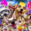 Alipson Puzzle Robinson Howard - Selfie Beach Party* Chiens|Chats